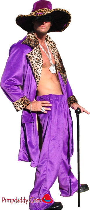 Purple Pimp Costume For Men | ubicaciondepersonas.cdmx.gob.mx
